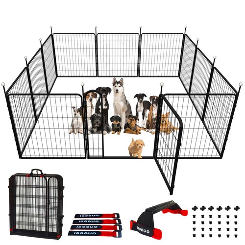 Dog play pen - dog,