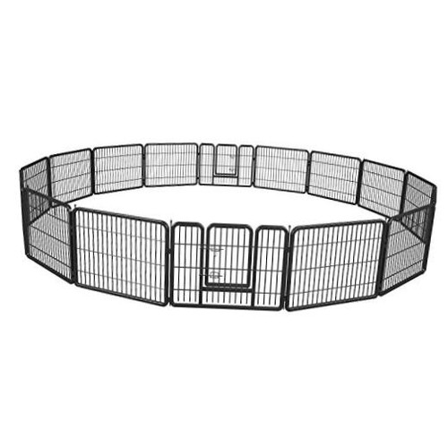 Pet playpen exercise - pet, dog