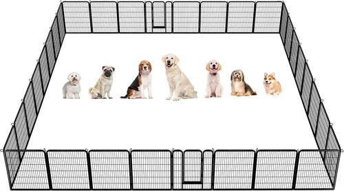 Dog playpen outdoor - dog, puppy