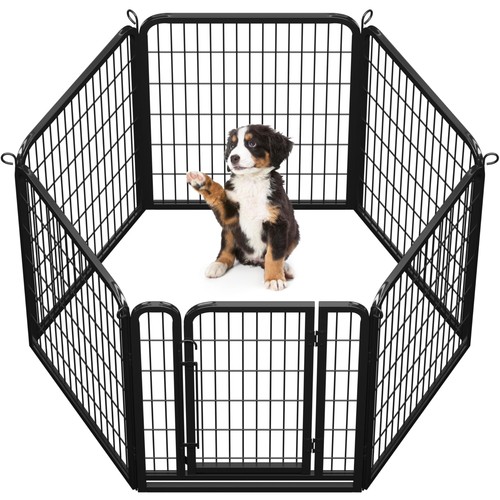 Dog playpen outdoor - dog,