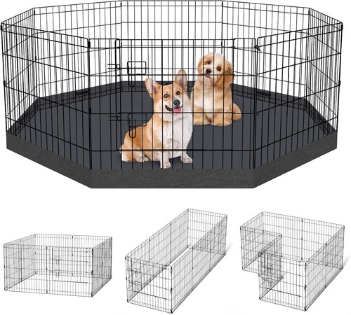Dog pen pet - dog,