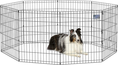 Exercise pen door 16 - exercise, sq