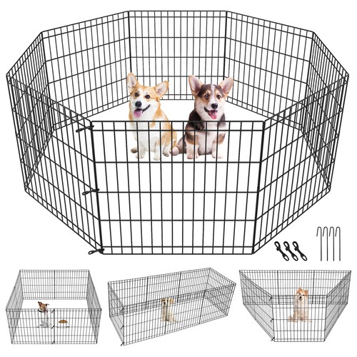 Inch pet dog - 24,